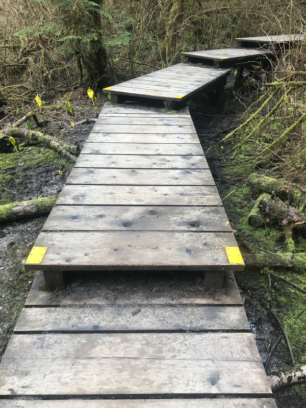 Wooden deck forming pathway with two steps and yellow reflective tape on corners. 