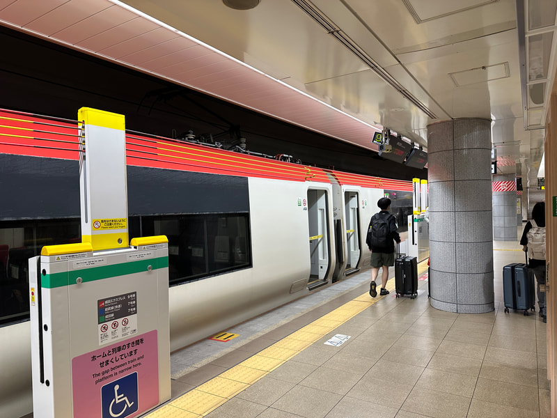 Person stands outside train.  A barrier along the platform is in the raised position allowing people to board.