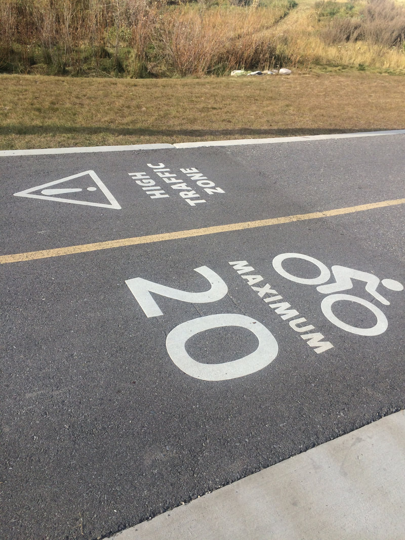 Bike lane with yellow line down centre and painted messages of maximum 20km speed limit.